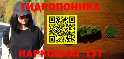 прущие крисы Гусиноозёрск
